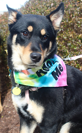 Roxy